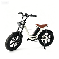 Vélo électrique à cadre en acier à haute teneur en carbone, freins à disque mécaniques 7 vitesses, pneus 20 pouces, phares avant, moteur arrière 48V 500W, batterie 13AH, autonomie 60 km