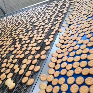 High Quality Complete Full Automatic Biscuit Production Line Manufactory