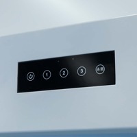 Filtre HEPA de banc à flux laminaire vertical haute efficacité mobile certifié ISO CE personnalisé en usine nouveau travail propre industriel