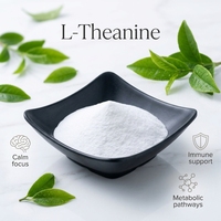 Poudre de L-théanine de qualité alimentaire 99% pure, soluble dans l'eau, prix de gros en vrac