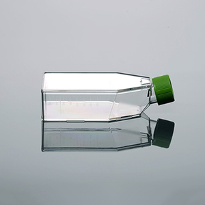 De tejido de plástico cultura matraces erlenmeyer de Tratados de <span class=keywords><strong>la</strong></span> cultura de tejido frasco - Product Image 3