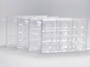 High Quality Custom Polycarbonate Eco-Friendly Durable Coins and Gold Tissue Chocolates Mold - Product Image 3