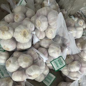 Ajo Fresco de Nueva Temporada 2026, Ajo Blanco Puro de 5.0cm, 5.5cm, 6.0cm, Grado Premium de Exportación, Proveedor Mayorista de Vegetales - Product Image 4