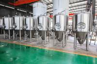 Fermenteur en acier inoxydable de 100 L, équipement de brasserie