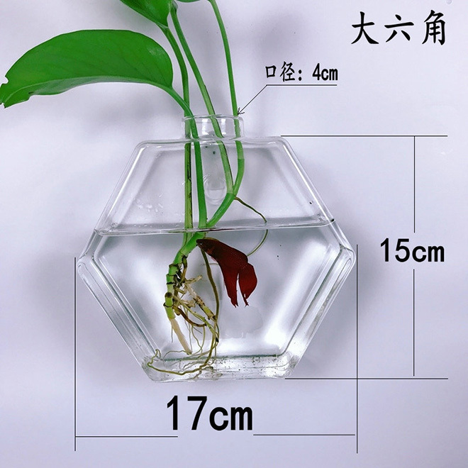 daliujiao