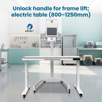Appareil de radiographie numérique portable EUR VET pour cliniques vétérinaires avec écran tactile pour le diagnostic des animaux de compagnie