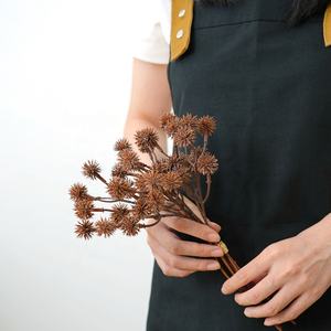 Yunnan, los nuevos productos más baratos, teasels, fruta de cardo seca Natural para combinación de ramo - Product Image 1