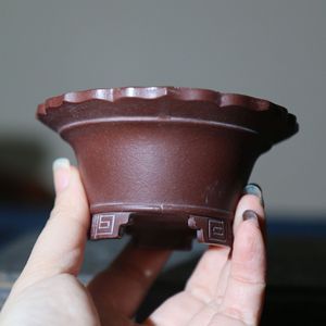 Maceta de Bonsái Zisha Hecha a Mano, Miniatura con Forma de Pétalo, Patrón Geométrico, Tamaño de Palma de la Mano - Product Image 2