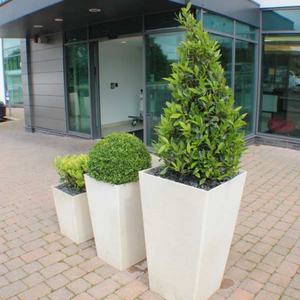 Pot de fleurs carré en fibre de verre léger, grand et haut, durable, pour la plantation de jardin, décoration en poterie pour l'intérieur et l'extérieur - Product Image 5