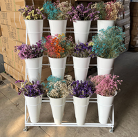 Présentoir à plantes multi-niveaux moderne avec roulettes, chariot de jardin, étagère à fleurs, 12 seaux en fer pour fleurs fraîches
