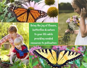 Kit <span class=keywords><strong>de</strong></span> démarrage <span class=keywords><strong>de</strong></span> jardin <span class=keywords><strong>de</strong></span> fleurs <span class=keywords><strong>de</strong></span> papillon plantes sauvages comprenant l'asclépiade Coreopsis Cosmos <span class=keywords><strong>Zinnia</strong></span> pour la culture suspendue au sol - Product Image 4