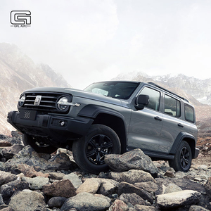 Camioneta Eléctrica Tank 300 Turbo Manual con Volante a la Izquierda, Nuevo Lanzamiento en la Gama de Vehículos - Product Image 6