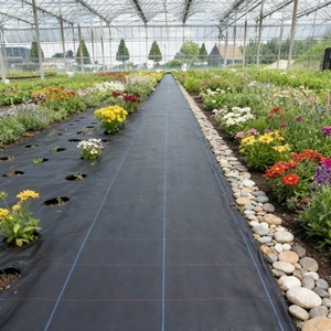 Estera <span class=keywords><strong>de</strong></span> control <span class=keywords><strong>de</strong></span> malezas negras para paisajismo hortícola Ideal para macizos <span class=keywords><strong>de</strong></span> flores Fronteras <span class=keywords><strong>de</strong></span> arbustos y bordes <span class=keywords><strong>de</strong></span> caminos <span class=keywords><strong>de</strong></span> jardín - Product Image 2