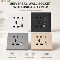 Prise murale universelle avec USB A et Type C 10A 2 prises 5V 2100mA/3100mA Prise de charge 4 couleurs OEM ODM