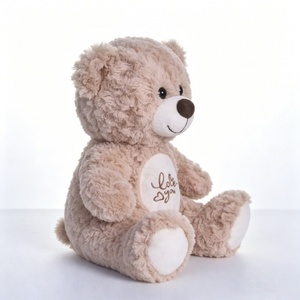 Oso de peluche marrón personalizado, peluche de oso de peluche - Product Image 1