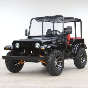 Buggy Todoterreno de 250 CC con Motor de Gasolina, Homologado por la CE, Vehículo de 2 Plazas para Alquiler Turístico y Recreación al Aire Libre - Product Image 1