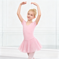 Vestido de Ballet con Logo Personalizado, Leotardo de Baile, Falda Tutú de Nailon y Manga de Gasa para Niñas y Niños, Traje de Entrenamiento y Actuación, OEM