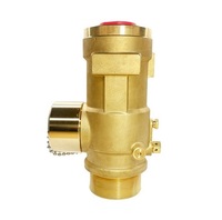 Valve de bouteille d'incendie durable de 2 pouces, accessoire essentiel et flexible pour l'équipement de lutte contre l'incendie