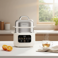 Cuisinière à vapeur électrique portable entièrement automatique et programmable, double couche en acier inoxydable, mini-cuiseur lent domestique en plastique