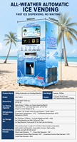 Distributeur automatique de glace à monnayeur 24h/24 et 7j/7 avec paiement intelligent, options multiples et surveillance à distance pour camping (OEM)