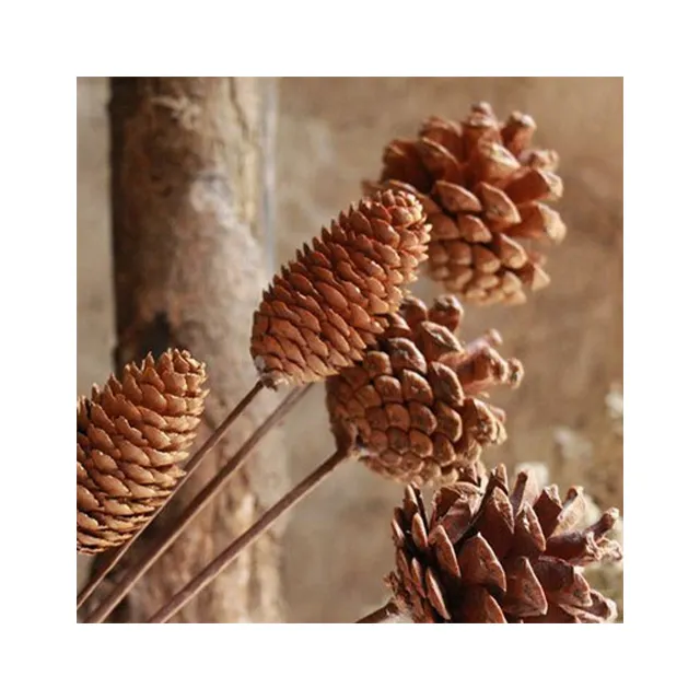 Natural original ecology harvest pine cones tower for christmas tree decoration and retro flower arrangement photo props