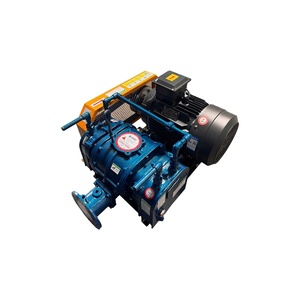 Souffleurs 30% racines écoénergétiques et performants spécialement conçus pour l'industrie du transport pneumatique - Product Image 1