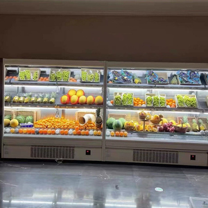 <span class=keywords><strong>Présentoir</strong></span> <span class=keywords><strong>Réfrigéré</strong></span> à Température Unique Robuste <span class=keywords><strong>pour</strong></span> <span class=keywords><strong>Fruits</strong></span> Frais, <span class=keywords><strong>Légumes</strong></span> <span class=keywords><strong>et</strong></span> Boissons, Réfrigérateur avec Étagères Réglables - Product Image 4