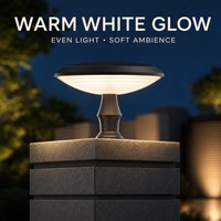 Lampe solaire architecturale de qualité supérieure 30W OEM ODM, norme européenne IP65, ronde, effet pleine lune, pour poteau de jardin ou balise paysagère
