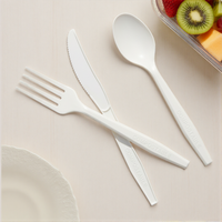Greenday Premium Series Wegwerp CPLA Vork Lepel Volledig Biologisch Afbreekbaar Composteerbaar Eco 7 inch CPLA Mes voor Fruit Taart Biefstuk