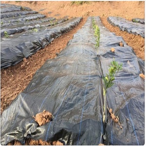 Toile <span class=keywords><strong>de</strong></span> paillage hydrophile en PP non tissé, perforée à l'<span class=keywords><strong>aiguille</strong></span>, blanche et noire, sur mesure, pour l'agriculture - Product Image 3