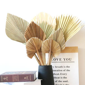 Yunnan all'ingrosso varie forme stili diversi palme secche naturali <span class=keywords><strong>foglie</strong></span> palme - Product Image 4