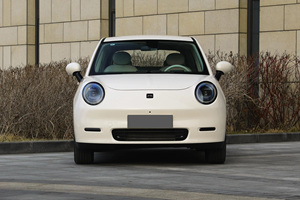 Предоплата горячая Распродажа 2024 Китайский Новый энергетический автомобиль JAC yiwei <span class=keywords><strong>3</strong></span> взрослый дешевый 4-колесный спортивный мини-электромобиль - Product Image 3