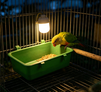 Bac de bain carré pour perruches, mangeoire, boîte à nourriture verte, accessoires pour oiseaux, bol à nourriture, mangeoire, accessoire de cage à oiseaux, baignoire