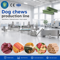 Machine extrudeuse de friandises pour chiens à double vis en acier inoxydable, contrôlée par PLC, ligne de production entièrement automatique pour la fabrication de friandises à mâcher pour chiens
