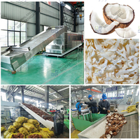 Industriële kokosnootcopra droogmachine, guave, avocado, arecanoot, appel, fruitdroogmachine