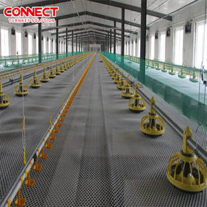 Sistema Automático de Alimentación de Aves de Corral de Alta Eficiencia, Línea de Alimentación de Pollos de Engorde Duradera - Product Image 2