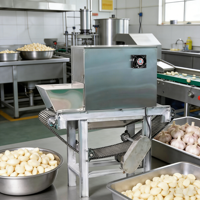 Knoflookschilmachine kettingtype, volledig elektrische industriële knoflookschilmachine