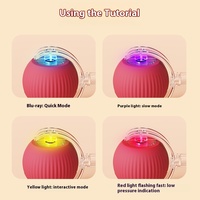 Nouveau Design 360 ° Smart Automatic Cat toy Interactive Rolling Ball Pet Toy Chargeur USB pour chats