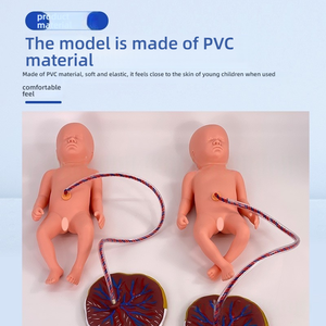 Model perawatan bayi baru lahir dengan Placenta PVC manekin untuk kabel pusar dan pelatihan plasenta alat sains medis untuk sekolah - Product Image 3