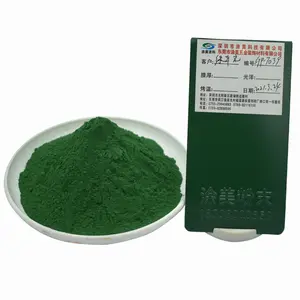 Rivestimento in polvere termoindurente polveri di colore verde produttore rivestimento in polvere pittura colori al texture