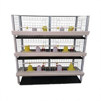 Poulailler pour poussins avec batterie d'élevage, conception pour l'élevage de volailles, haute qualité, galvanisé à chaud, durable, gain de place, Ouganda