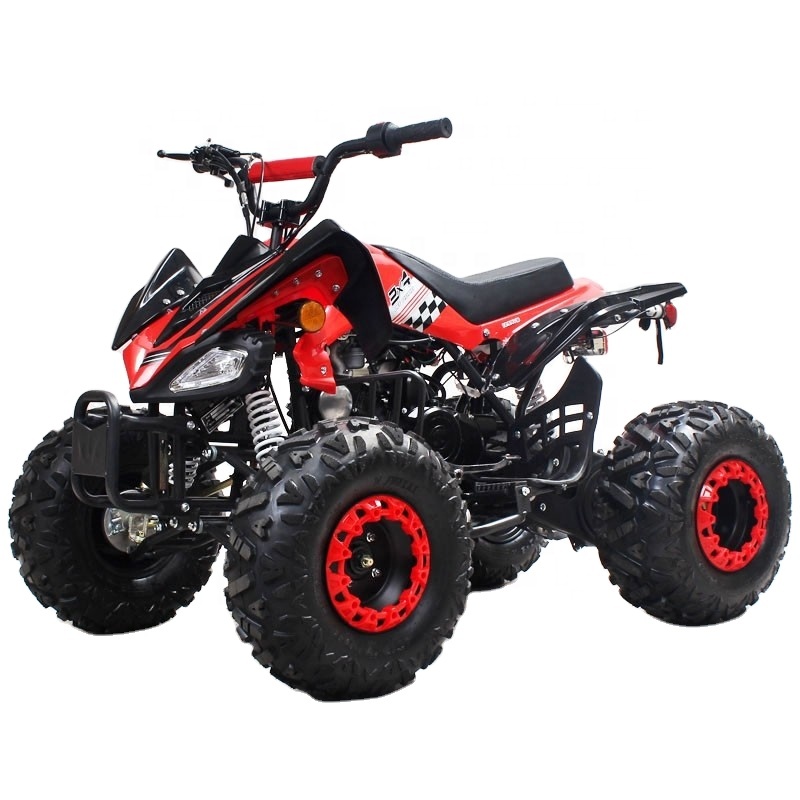 Moto à roues course entraînement par chaîne automatique quatre roues moto pour enfants Tao Motor Farm ATV 110cc 4 125cc Quad Bike 2WD