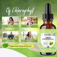 Vente en gros OEM Marque privée 59 ml Gouttes liquides d'extrait de chlorophylle de menthe Splina naturel végétalien original pour la détoxification et le nettoyage