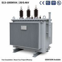 S13 1000kVA Tam Bakır Sargılı Yağlı Tip Güç Trafosu 20kV/0.4kV 3 Faz Enerji Tasarruflu IEC CE