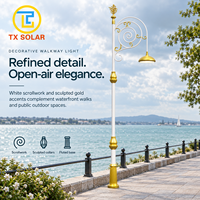 Poteau d'éclairage public décoratif sur mesure, design exquis, avec support à bras simple ou double