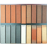 Briques réfractaires fines frittées de style naturel, 60*240*11mm, matériau de porosité solide pour mur et plancher d'argile, briques de qualité supérieure