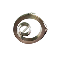 Ressort plat en acier inoxydable 301 Caiyin pour laisse de chien