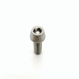 Pernos de poste Cantilever de aleación de titanio, Perno M8 M10, pieza de perno de titanio, superventas - Product Image 6