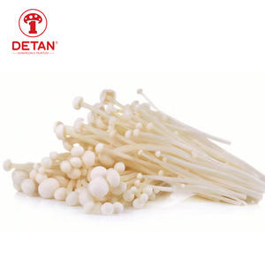 Detan Vendu toute l'année roun champignon frais Origine Jamur Enoki de Chine - Product Image 2