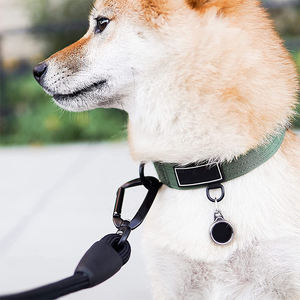 定制徽标高级训练超柔软尼龙绳狗牵引绳，带航空铝制登山扣 - Product Image 5